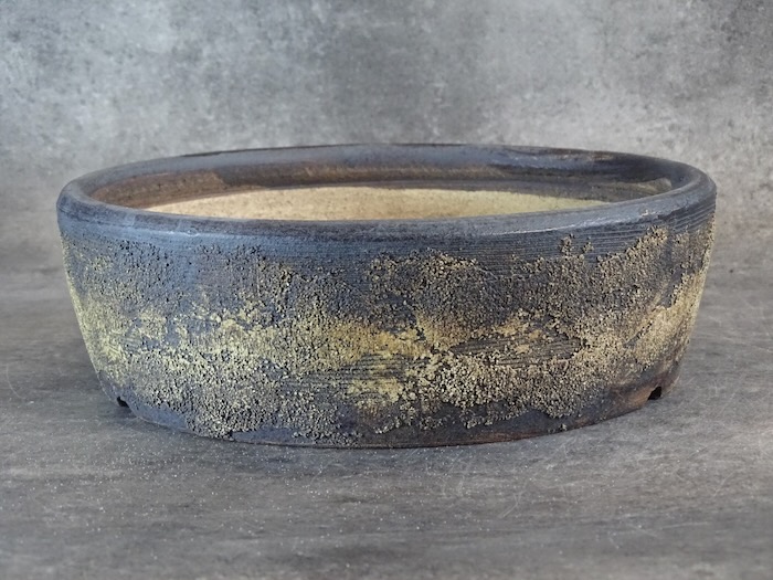 Pot bonsaï ref 5390 – vue principale