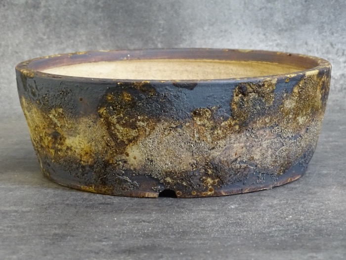 Pot bonsaï ref 5392 – vue principale