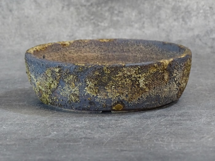 Pot bonsaï ref 5449 – vue principale