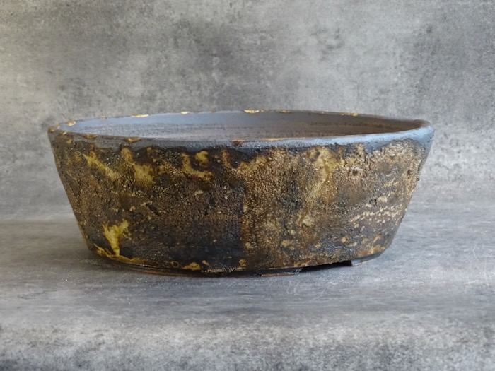 Pot bonsaï ref 5473 – vue principale