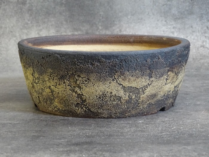 Pot bonsaï ref 5474 – vue principale