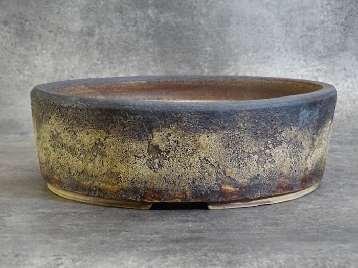 Pot bonsaï ref 5477 – vue principale