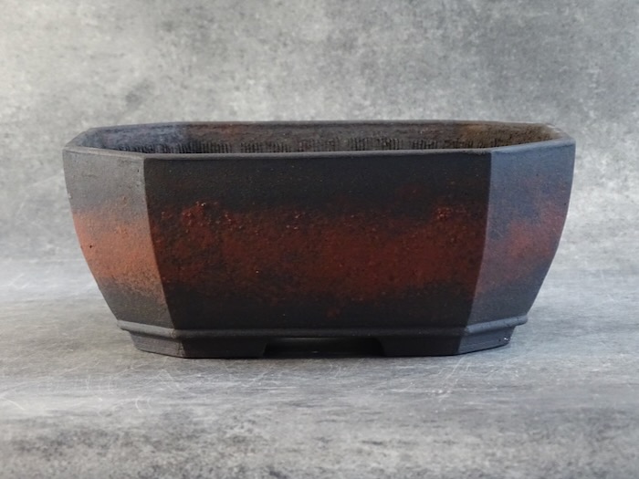 Pot bonsaï ref 5488 – vue principale