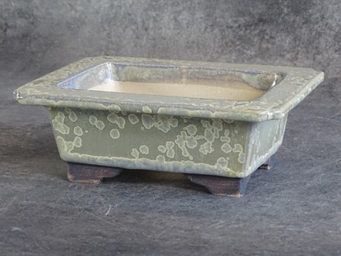 Pot bonsaï ref 5741 – vue principale
