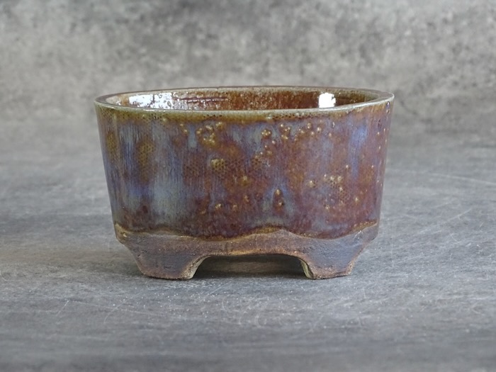 Bonsai-Schale Ref. 5755 - Hauptansicht