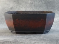 Pot à bonsaï, ref 5488
