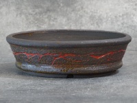 Pot à bonsaï, ref 5511