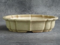 Bonsai pot ref 5681 - main view