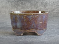 Bonsai-Schale Ref. 5755 - Hauptansicht
